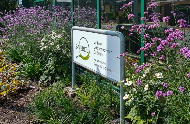 S-VERDE-IMG_20210823_111848