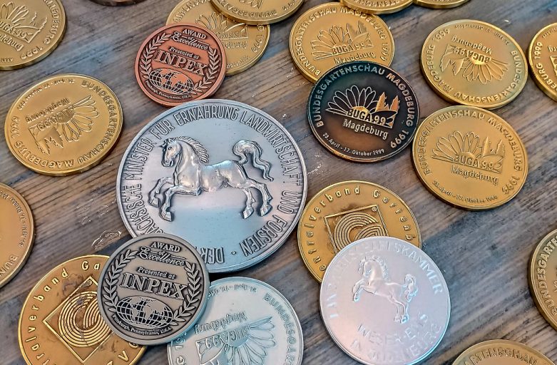 S-VERDE-IMG_20210823_164411