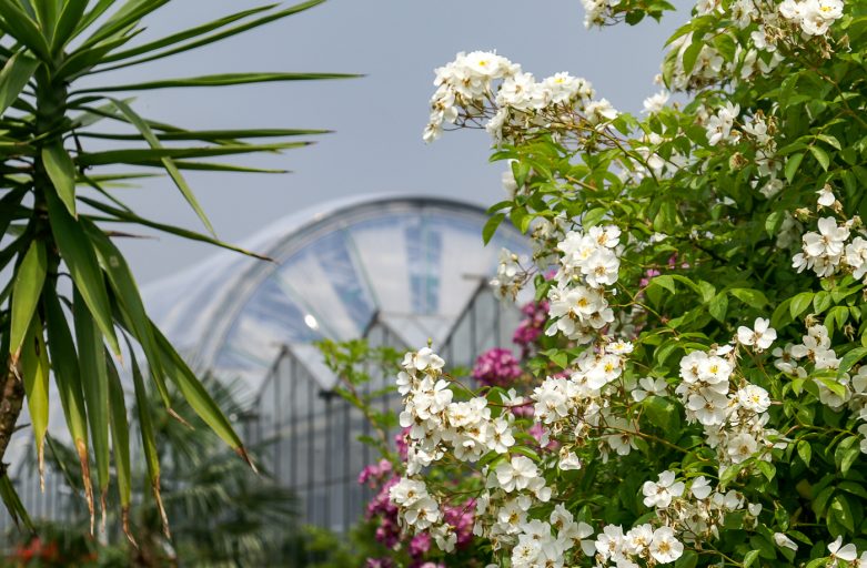 KONICA MINOLTA DIGITAL CAMERA