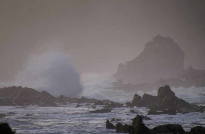 KONICA MINOLTA DIGITAL CAMERA